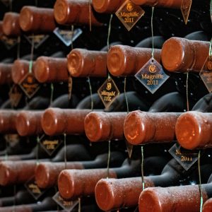 Vinhos do Velho Mundo II