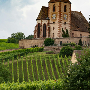 Vinhos do Velho Mundo I: França